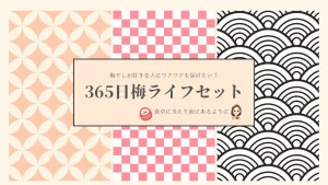 梅干しが食卓に当たり前にあるように。365日梅LIFEセット